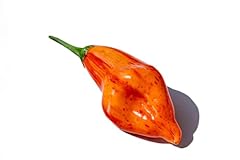 Aji tangerine tiger for sale  Delivered anywhere in USA 