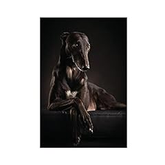 Moit dog greyhound for sale  Delivered anywhere in UK