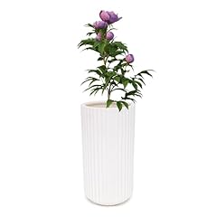 Home cylindrical vase for sale  Delivered anywhere in USA 