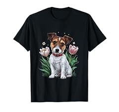 Jack russel terrier usato  Spedito ovunque in Italia 