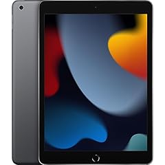 Apple ipad 256 usato  Spedito ovunque in Italia 