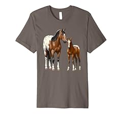Beautiful bay appaloosa for sale  Delivered anywhere in USA 
