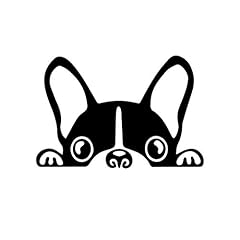 Agl boston terrier for sale  Delivered anywhere in USA 
