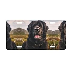 Yoladsume newfoundland dog for sale  Delivered anywhere in USA 
