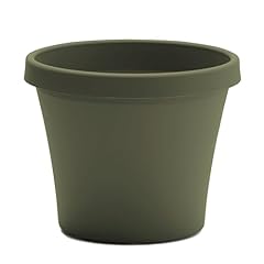 Bloem terra pot for sale  Delivered anywhere in USA 