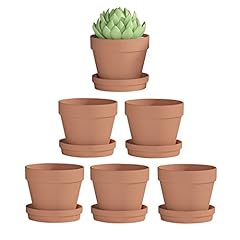 Fcacti pack terra for sale  Delivered anywhere in USA 