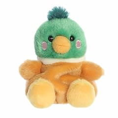 Aurora adorable palm for sale  Delivered anywhere in USA 