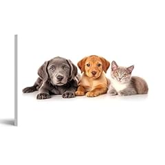 Canvas wall art for sale  Delivered anywhere in USA 
