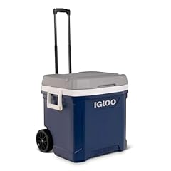 Igloo maxcold litre for sale  Delivered anywhere in UK