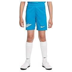 Nike zenit petersburg gebraucht kaufen  Wird an jeden Ort in Deutschland