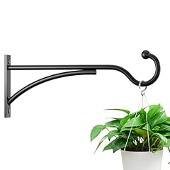 Saffruff outdoor plant for sale  Delivered anywhere in USA 
