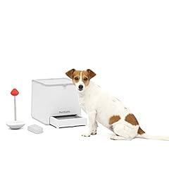 Petsafe teach treat for sale  Delivered anywhere in USA 