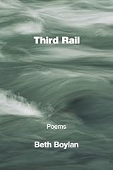 Third rail for sale  Delivered anywhere in USA 