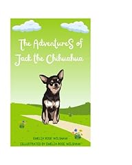 Adventures jack chihuahua for sale  Delivered anywhere in UK