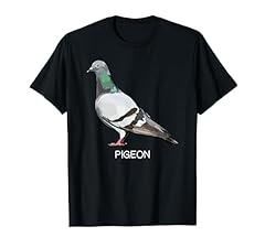 Pigeon bird lover for sale  Delivered anywhere in UK