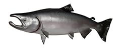 King salmon half for sale  Delivered anywhere in USA 