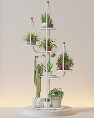 Bamworld cactus tree for sale  Delivered anywhere in USA 