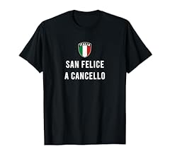 San felice cancello usato  Spedito ovunque in Italia 