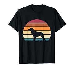 Retro vintage sunset usato  Spedito ovunque in Italia 