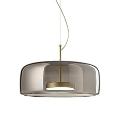 Hjxdtech lampadario sospension usato  Spedito ovunque in Italia 