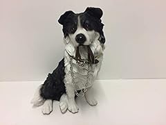 Sitting border collie for sale  Delivered anywhere in UK