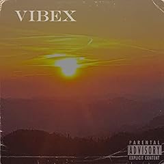 Vibex d'occasion  Livré partout en France