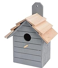 Abrus wooden bird for sale  Delivered anywhere in UK