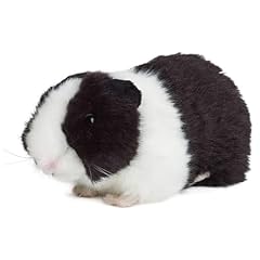 Gvmjhyk meerschweinchen kusche gebraucht kaufen  Wird an jeden Ort in Deutschland