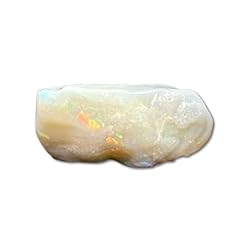 Opalized fossil clam for sale  Delivered anywhere in USA 