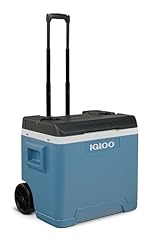 Igloo ip42 roller usato  Spedito ovunque in Italia 