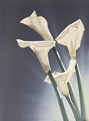 Jochen labriola white for sale  Delivered anywhere in USA 