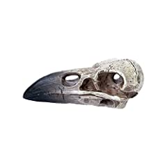 Small raven skull for sale  Delivered anywhere in UK