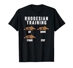 Rhodesian ridgeback training usato  Spedito ovunque in Italia 