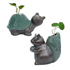 Snail turtle plant for sale  Delivered anywhere in USA 