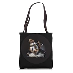 Biewer terrier yorkie for sale  Delivered anywhere in USA 