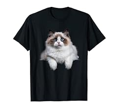 Gatto bianco con usato  Spedito ovunque in Italia 