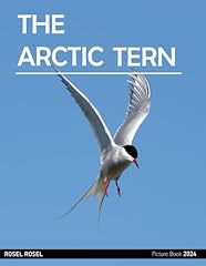 Arctic tern cool for sale  Delivered anywhere in UK