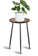 Muaeeok indoor plant for sale  Delivered anywhere in UK