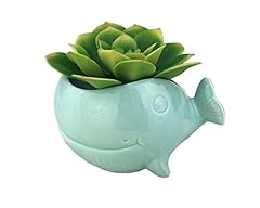 Vanenjoy ceramic succulent for sale  Delivered anywhere in UK