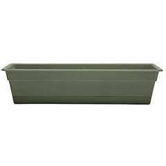 Bloem dura cotta for sale  Delivered anywhere in USA 