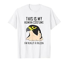 Falcon costume human for sale  Delivered anywhere in USA 