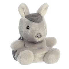 Aurora adorable palm for sale  Delivered anywhere in USA 