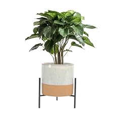 Bees mid century for sale  Delivered anywhere in USA 