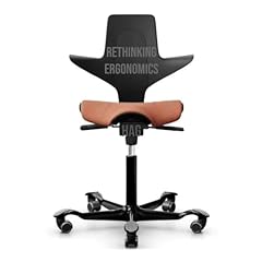 Rethinking ergonomics hag for sale  Delivered anywhere in USA 