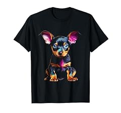 Pinscher nain chiot d'occasion  Livré partout en France