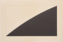 Ellsworth kelly black for sale  Delivered anywhere in USA 
