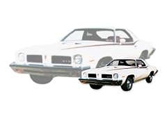 1973 pontiac lemans for sale  Delivered anywhere in USA 
