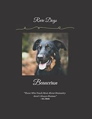 Beauceron rare dog for sale  Delivered anywhere in UK