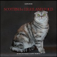 Scottish highland fold usato  Spedito ovunque in Italia 