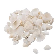 Muscheln natürliche muschel gebraucht kaufen  Wird an jeden Ort in Deutschland
